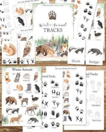 Winter Animals Tracks Unit Learning Worksheets For Kindergarden Growth Mindset family happiness